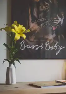 Bussi Baby - 40