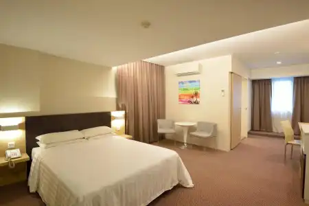 VIP (SG Clean Certified) - 20