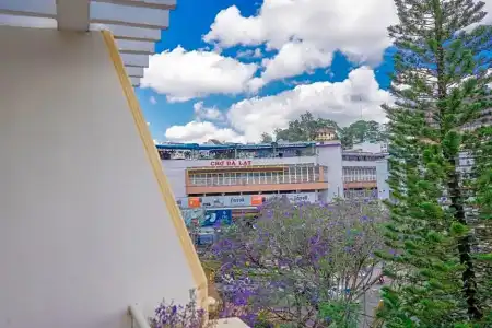 Nice Dream Dalat - 134