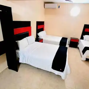 Jardín - 27