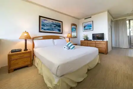 Kapalua Villas Maui - 288