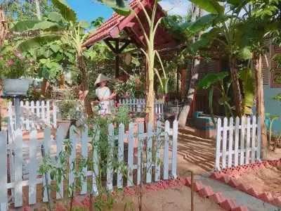 Hue Lotus Homestay - 36