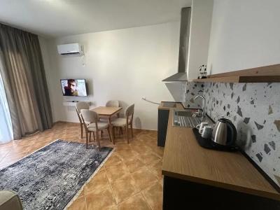 Palm Suites Apartment-Suite - 13
