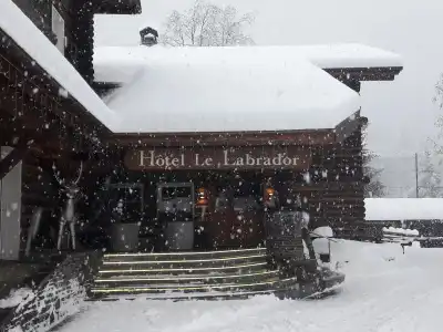 Le Labrador - 14