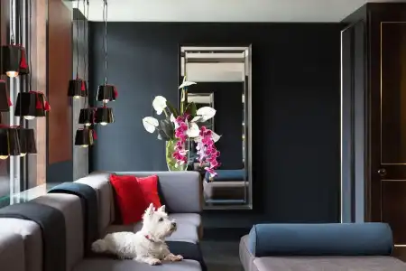 Grosvenor House Suites - 108