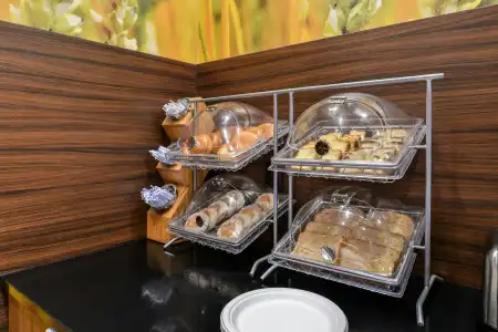 Fairfield Inn & Suites by Marriott Eugene East/Springfield - 10