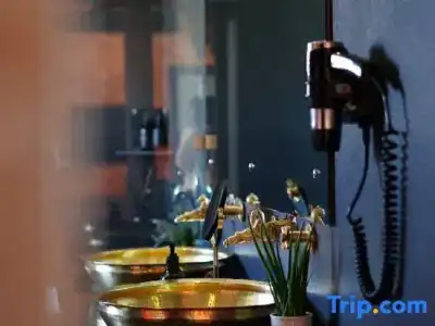 Dalai-La Boutique - 119