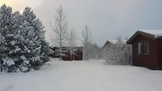 Gesthus - 65