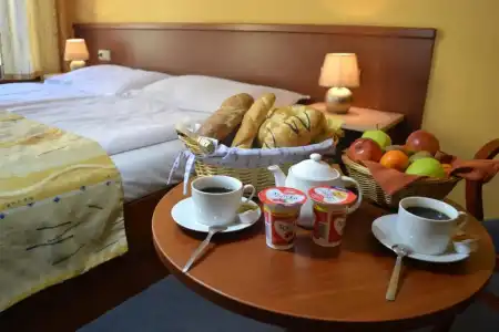 ApartAustria Suites - 80