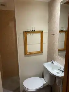 The Old Palace Guest House - 50