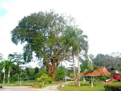 Ranong Resort and Laguna - 9