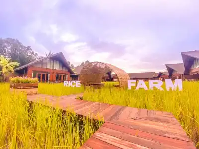 Rice Farm Villa - 13