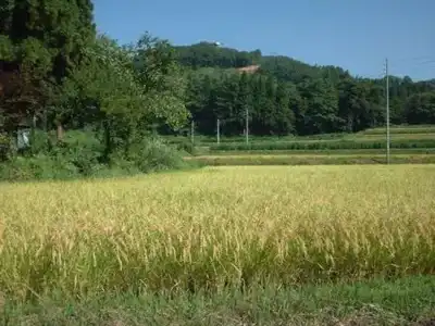 Shikisai no yado Kanoe - 30