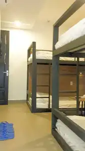 An Hoi Canary - 10