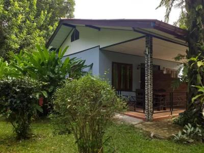 Tree Top River Huts - 76