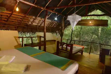 Back of Beyond - Pidurangala - 79