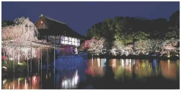 Kyoto Happy Family - 9