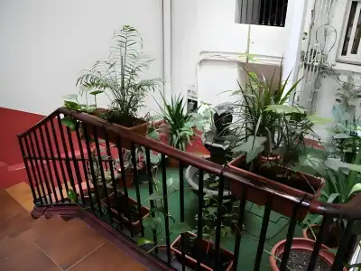 Hostel Razio - 5