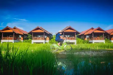 Farmer's Boutique Resort - 43
