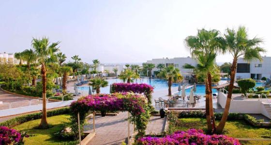 Sharm Reef - 46