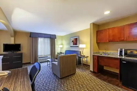 Best Western Premier Houston Downtown/Convention Center - 23