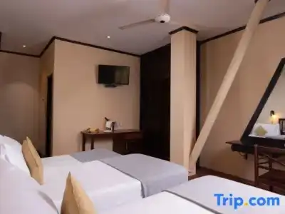 Ceylon City, Colombo - 51