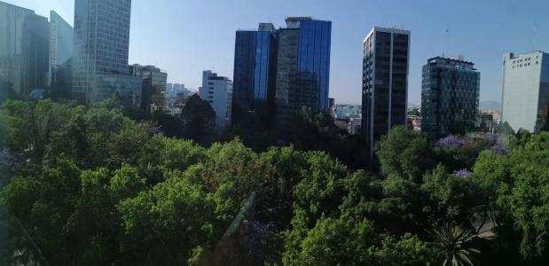 Holiday Inn Express Mexico Reforma by IHG - 23