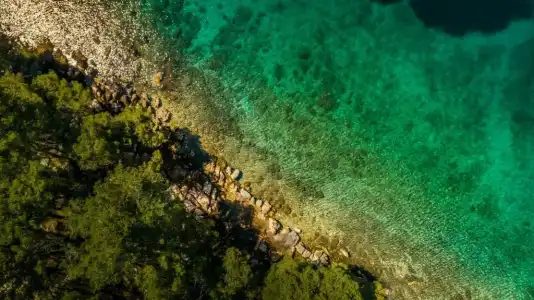 Valamar Amicor Resort - 42