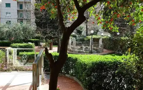 Le Palme - 8