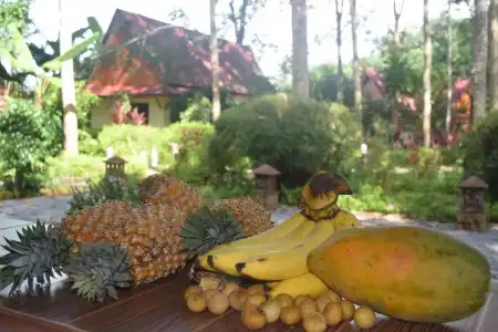 Manora Garden B & B - 22