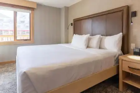 Moose And Suites - 140