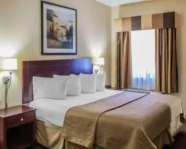 Quality Inn & Suites Peoria North - 4