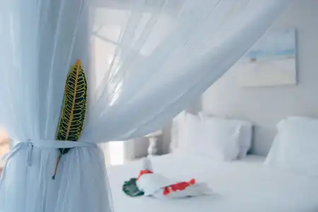 Paje Beach Apartments & - 3