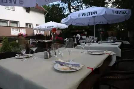 Il Cavallino - 17