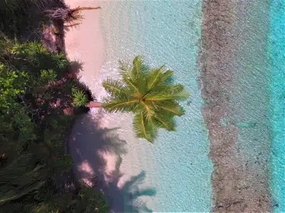 Dhiguveli Maldives - 37