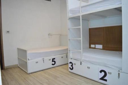 Hari Piorko - 33