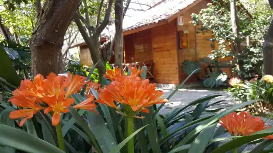 Villaggio Verde - 47
