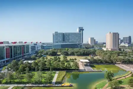 Hilton Americas - - 0