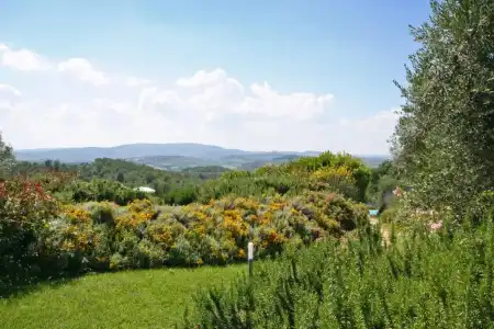 Podere il Pino - 25