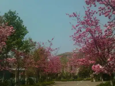 Yuntian Garden - 15