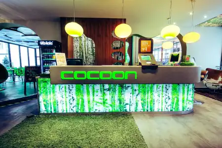 Cocoon Stachus - 16