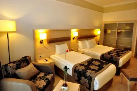 Asteria Collection - 2