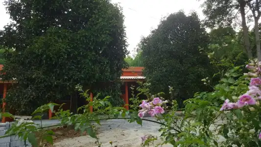 Sichon Resort - 11