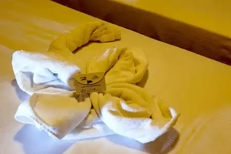 Regent - 63