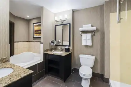 Best Western Premier Freeport Inn Calgary Airport - 44