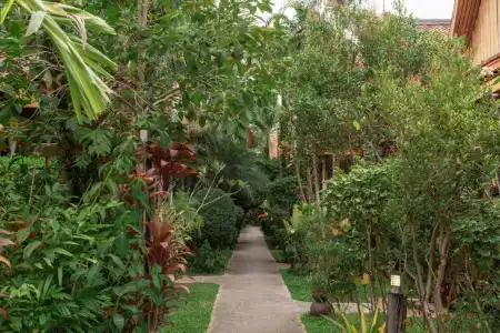 Bangtao Village Resort - 83