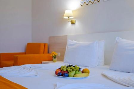 Garden Nevis - All Inclusive - 8