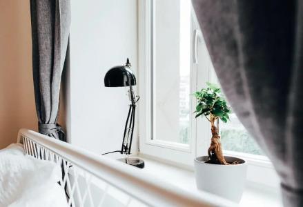 Hostel Multitude - 20