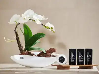 Villa Blanca Urban - 55