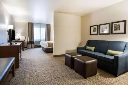 Comfort Suites at Par 4 Resort - 57
